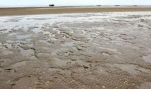 请给我一片沙滩_800字