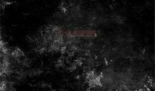 黑色的颓废_450字