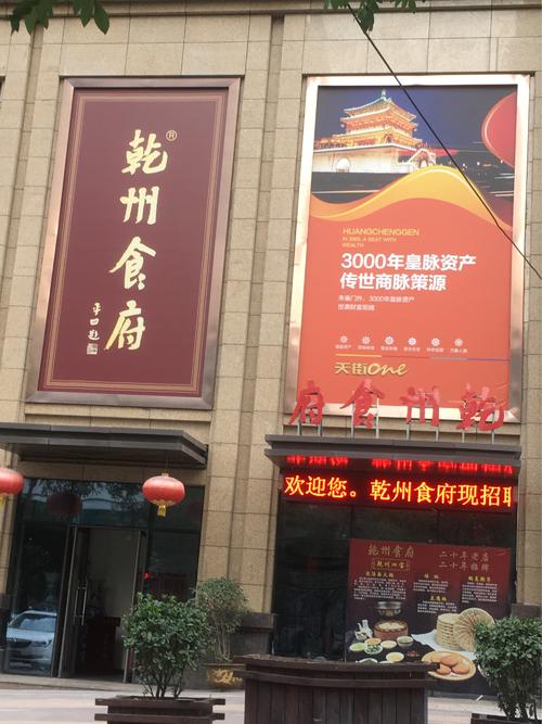 茅盾青年艺术学院评选的杰出作品：最佳除夕成长