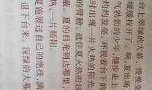 描写春节环境的句子