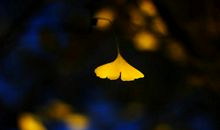 关于享受的作文：享受那一秒静谧_900字