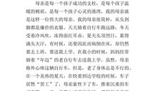 母爱_500字