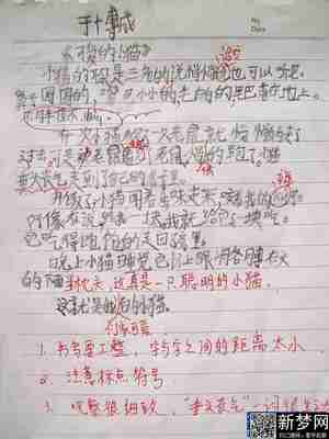 小胖和小松（2）_800字