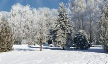 关于雪的作文：冬天的雪景_100字