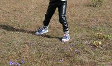 我在秋天放风筝_250字