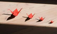 千纸鹤的梦（1）_3000字