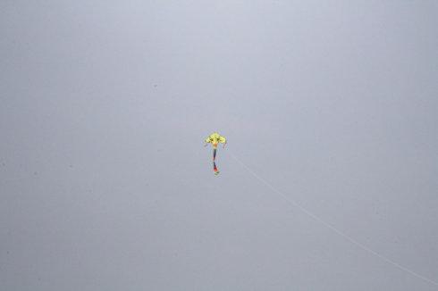 飞！ Kite_650字