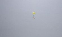 飞吧！风筝_650字