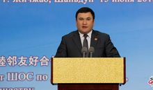 中国现代名人故事：中国现代名人杨佳_1000字