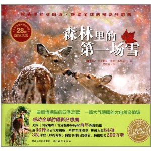 Snow Rhapsody_900字