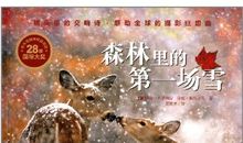 雪的狂想曲_900字