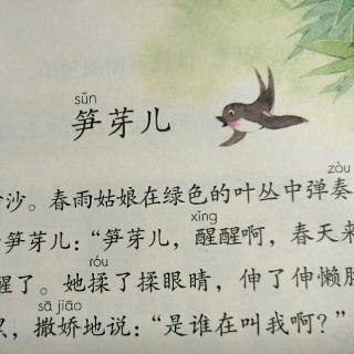指尖流年_1000字