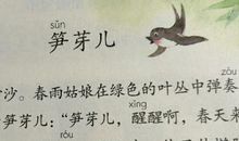 指尖穿过的流年_1000字