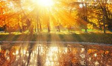 秋天好段好句：金秋的阳光_600字