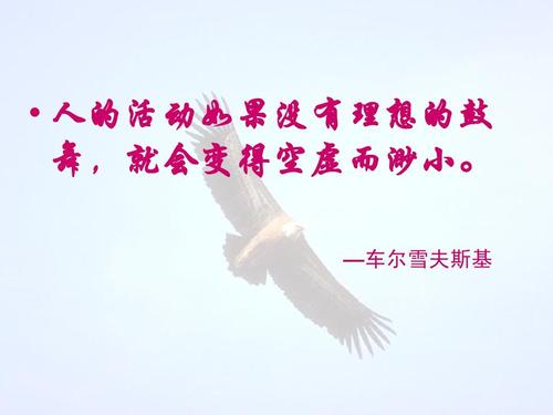 阅读使我心跳加速