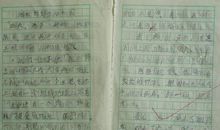 【微作文】保护环境，从我做起_250字