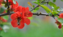 春天的发现_600字