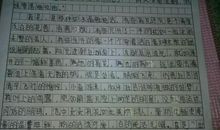 关于父母的爱的作文：对父母说说心里话_800字