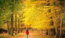 秋天好段好句：收获的季节_800字