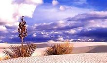 你的世界是一片沙漠_2000字