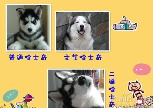 Art Dog拥有_250字