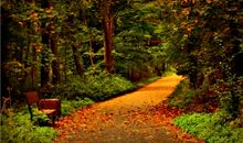 秋天好段好句：秋天的景色真美_650字