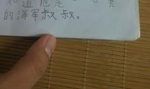 暑假日记：在家写作业_300字