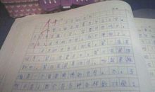 【微作文】给未来一片绿色_200字