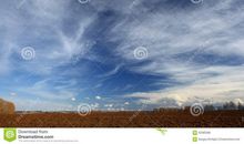 秋天好段好句：深秋的天空里_900字