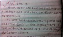 【微作文】保护环净，人人有责_100字