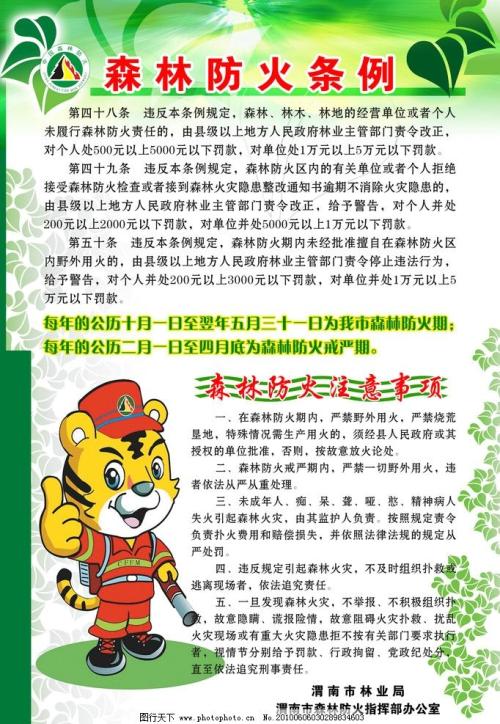 【微观组成】环保始于我_100字