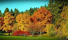 秋天好段好句：秋天的果实_750字