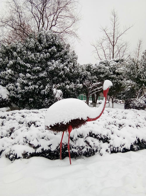 关于雪的成分：cedar_250个单词