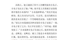 小木偶的故事（续）_400字