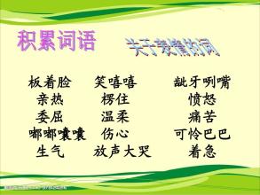续集《小木偶的故事》 _350字
