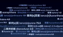 【微作文】雾霾天气_50字