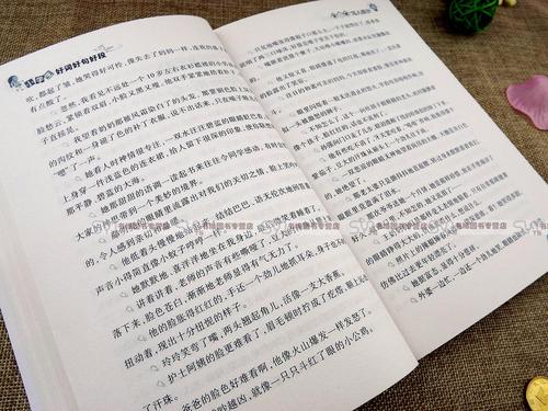春节好句子：春节好句子_800字