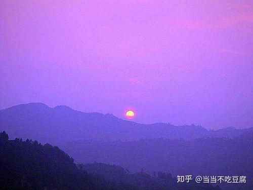 飞向紫色sky_500字