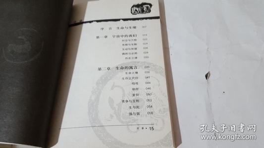 随笔人生500字