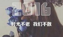 时光不老 我们不散_100字