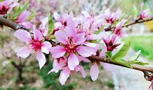 美在你身边_1200字