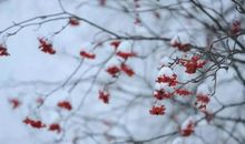 十年前的雪_400字