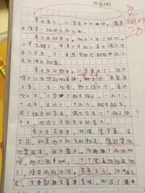 春天在这里_450字