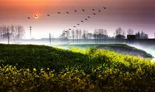 [PK赛]关于这也是一种美丽的作文：心中无法逝去的美丽_700字