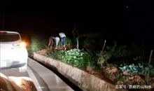 关于立秋的作文：摸秋_400字