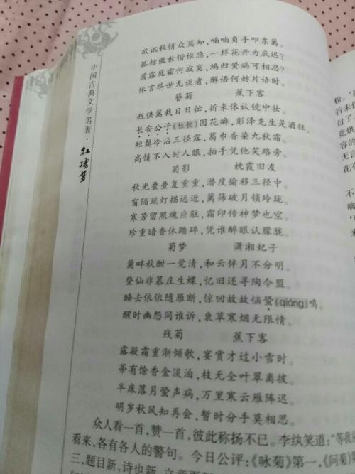 美容_300字