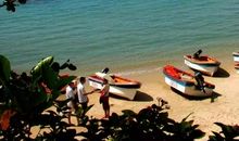 生命的体验_900字