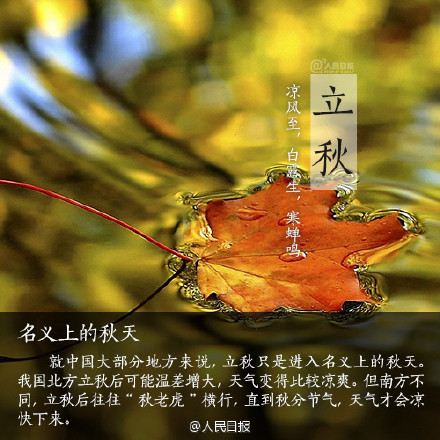 立秋作文：立秋之风_700字