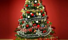 有趣的圣诞书_800字