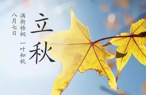 关于立秋的作品：Liqiu_450个单词